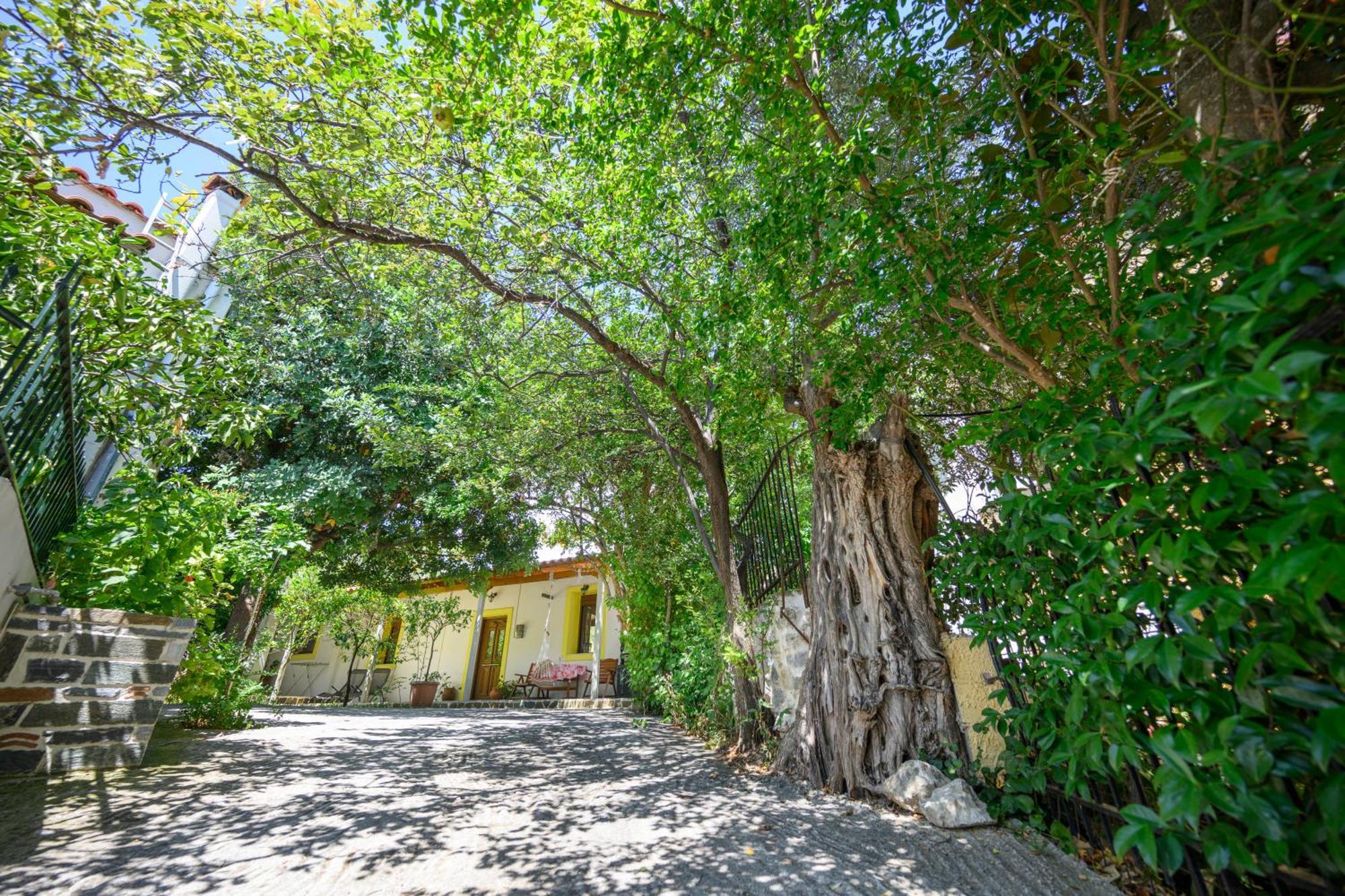 Small Villa Gerani Agios Vlasios  Luaran gambar